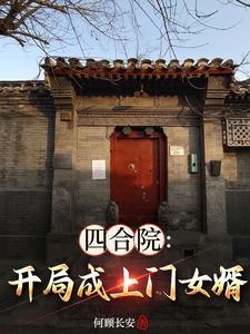 四合院开局就是儿子