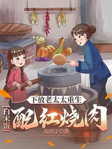 下方老太太重生白米饭配红烧肉
