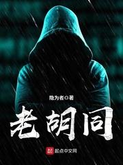 老胡同拼音