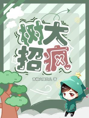 树大招风台词