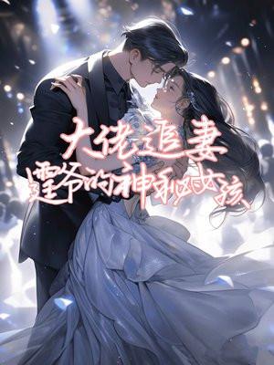 大佬追妻的