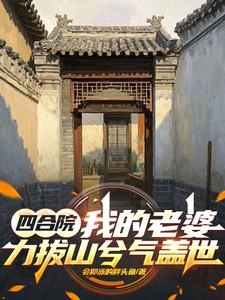 妻子四合院