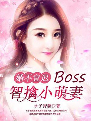 婚不宜迟txt