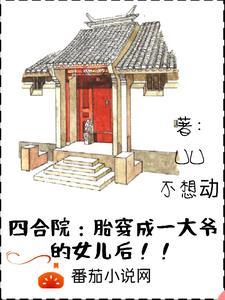 四合院穿越成棒梗他爹