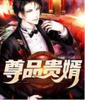 尊品贵婿 柳七