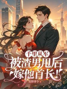 被渣男甩后嫁他首长txt