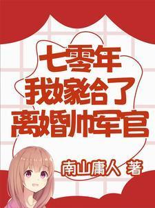 我嫁给了离婚帅军官 作者南山庸人