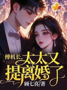 太太又提离婚了司瑶和傅霆夜是没有写完吗