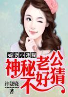 神秘老公娇妻请低调