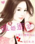 豪门暖婚蜜爱书包网