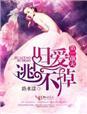 前夫旧情难却免费阅读