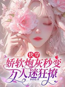 快穿娇宠炮灰