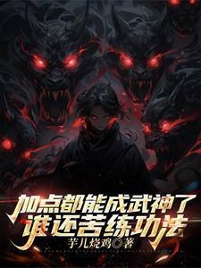 武功加点