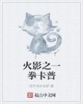 火影之一拳小李