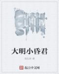 大明小书生笔趣阁