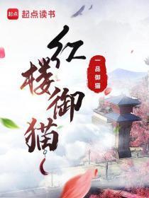 红楼御猫txt
