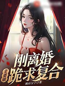 老婆就跪求复合全文免费阅读