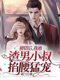我被渣男小叔掐腰猛宠+萌兰