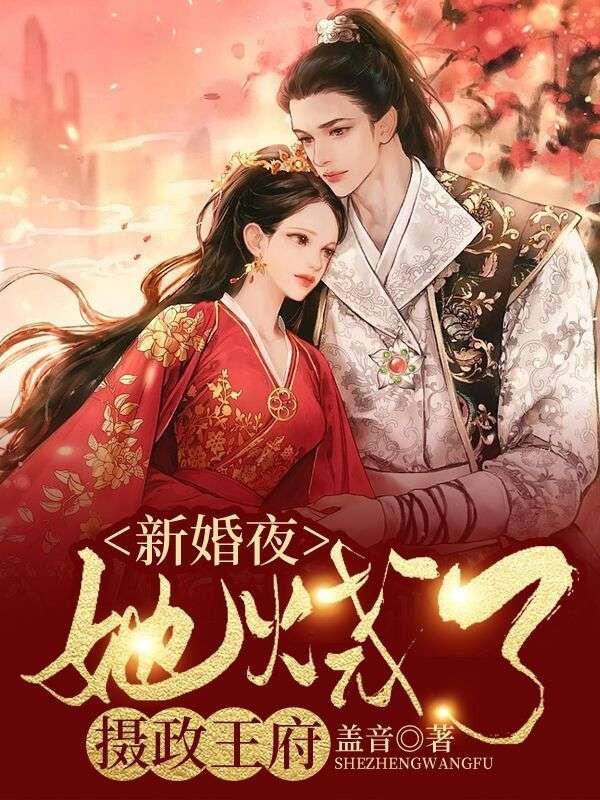 她烧了摄政王府全文阅读