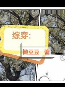 综穿之可艾
