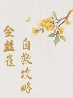 金丝雀攻略手册
