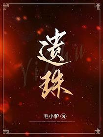 遗珠歌曲是什么意思