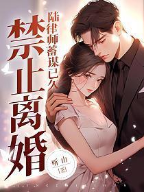 禁止离婚陆律师蓄谋已久免费阅读