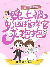 白天被逃婚晚上被奶凶指挥官求抱抱漫画免费阅读全集
