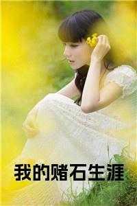 我的赌石生涯简介