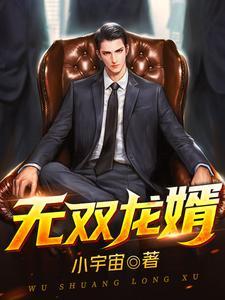 叶十三公子
