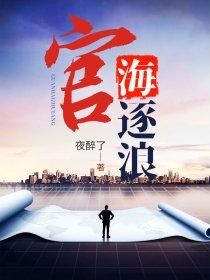 官海逐浪赵飞鹏免费阅读