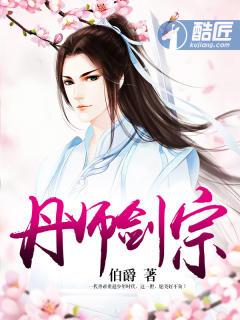 丹师剑宗完整阅读