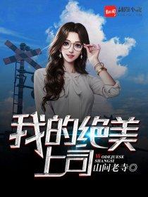 我的绝美上司女老婆免费阅读