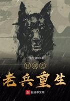 抗战老兵重生无弹框