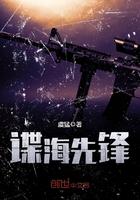 谍海先锋TXT奇书网