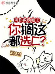 救赎魔王以后