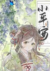 小平安是什么意思
