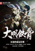 大明铁骨123读