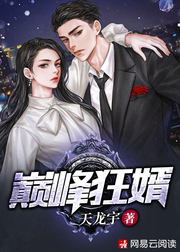 巅峰狂婿百度百科