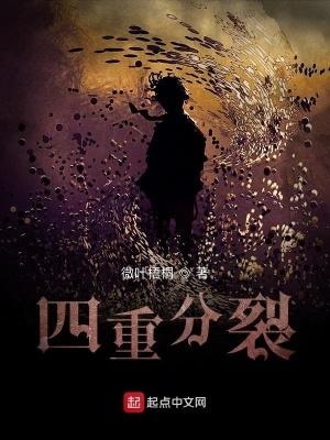 四重分裂TXT