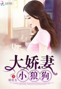 大娇妻小狼狗内容