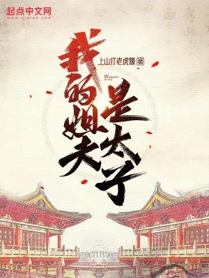 我的姐夫是太子全集