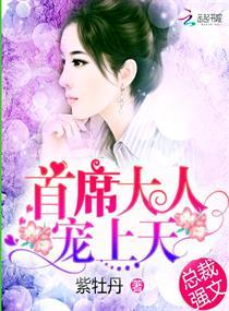 首席大人宠不停