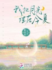 我想藏在月光里