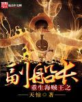 重生海贼王之副船长林天是什么果实