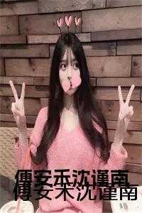 傅安禾沈谨南苏浩初