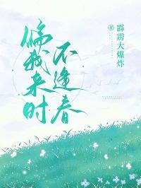 偏我来时不逢春 偏我去时春满城什么意思