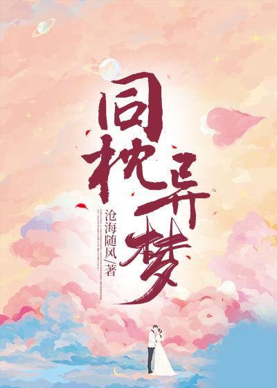 同枕异梦讲了什么