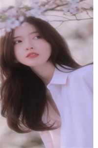 火影个人篇-樱之路