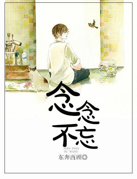 念念不忘短剧